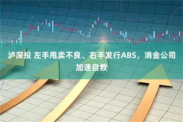 泸深投 左手甩卖不良、右手发行ABS，消金公司加速自救