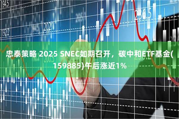 忠泰策略 2025 SNEC如期召开，碳中和ETF基金(159885)午后涨近1%
