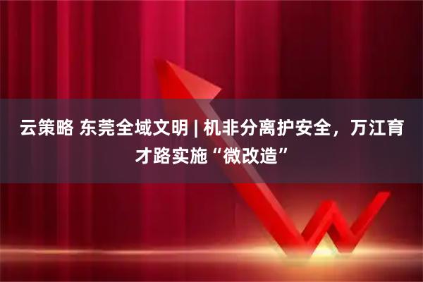 云策略 东莞全域文明 | 机非分离护安全，万江育才路实施“微改造”