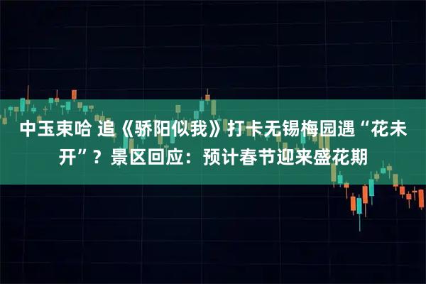 中玉束哈 追《骄阳似我》打卡无锡梅园遇“花未开”？景区回应：预计春节迎来盛花期