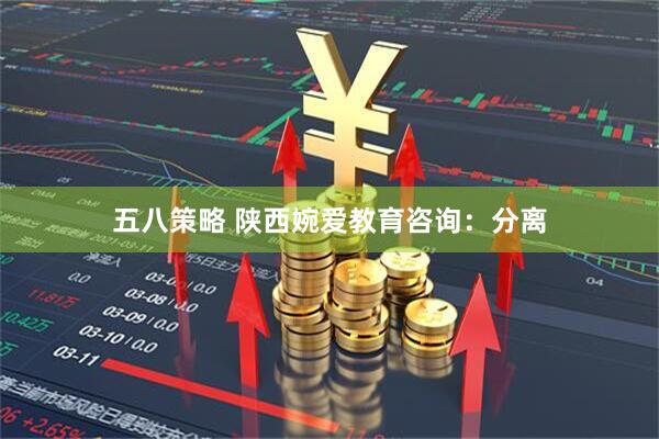 五八策略 陕西婉爱教育咨询:分离