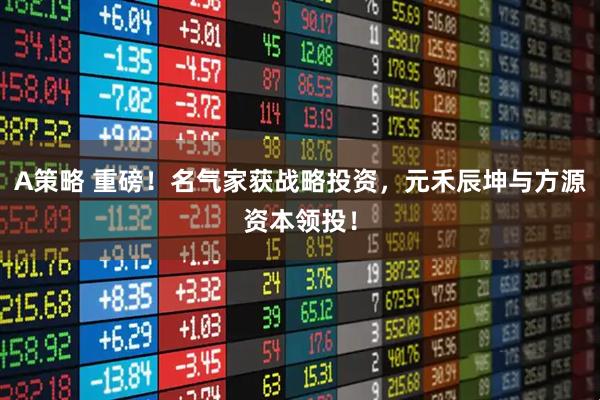 A策略 重磅！名气家获战略投资，元禾辰坤与方源资本领投！