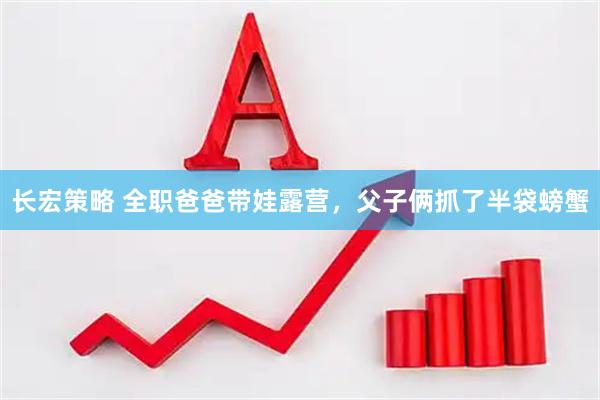 长宏策略 全职爸爸带娃露营，父子俩抓了半袋螃蟹