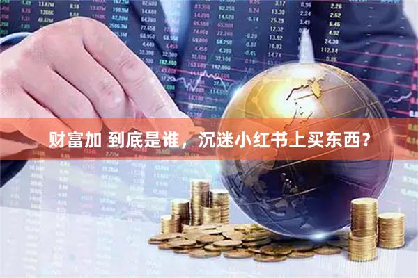 财富加 到底是谁，沉迷小红书上买东西？